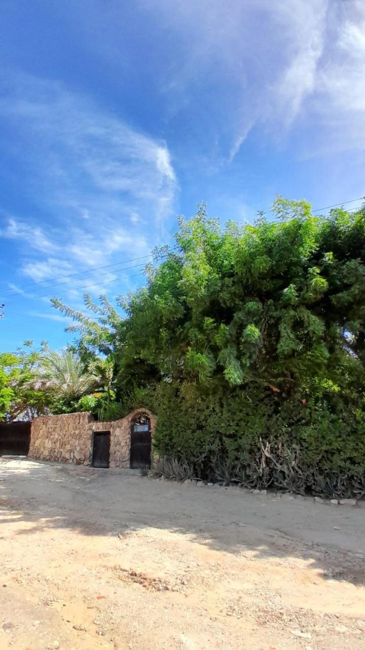 Steviewonderland Playa El Yaque Hotel Exterior photo